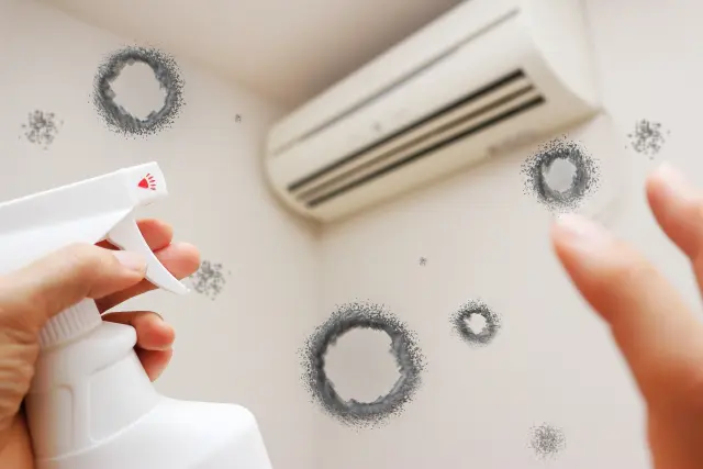 9736c49c3afcf205c042c057f6b560