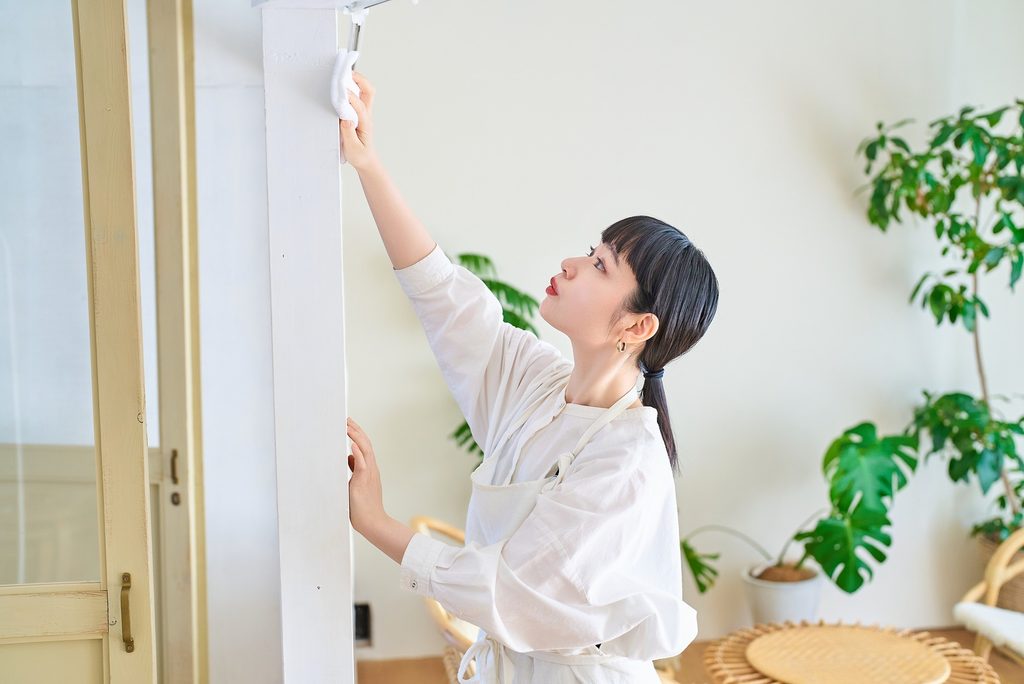杉並区の家事代行の特徴